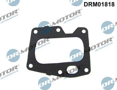 Packning, EGR-ventil - Packning EGR-ventil DR.MOTOR AUTOMOTIVE DRM01818