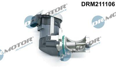 EGR-ventil - Agr-Ventil DR.MOTOR AUTOMOTIVE DRM211106