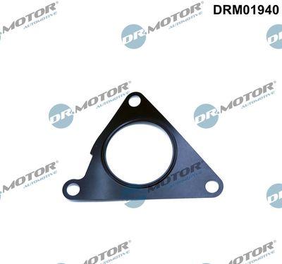 Packning, EGR-ventil - Packning EGR-ventil DR.MOTOR AUTOMOTIVE DRM01940