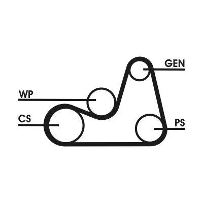 Poly v-remsats - Flerspårsremssats CONTINENTAL CTAM 6PK1138D2