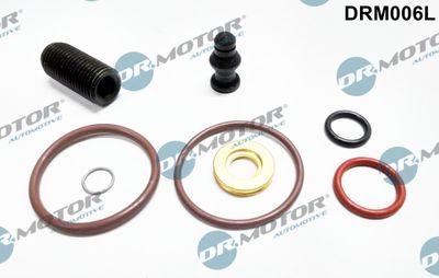 Repsats, insprutningsmunstycke - Reparationssats, pump-/ munstycksenhet DR.MOTOR AUTOMOTIVE DRM006L