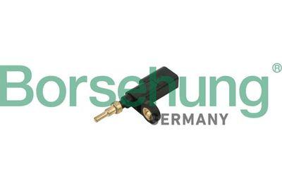 Kylvätsketemperatursensor - Sensor, kylmedelstemperatur BORSEHUNG B18252