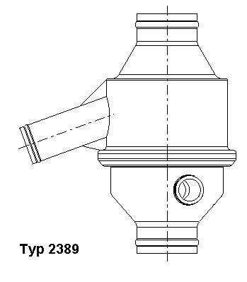 Termostat - Termostat, kylmedel BORGWARNER (Wahler) 2389.75/1