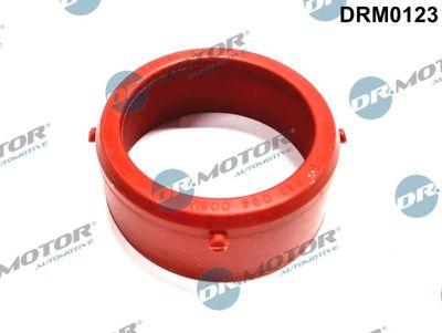 Packning, turboladdare - Packning, laddare DR.MOTOR AUTOMOTIVE DRM0123