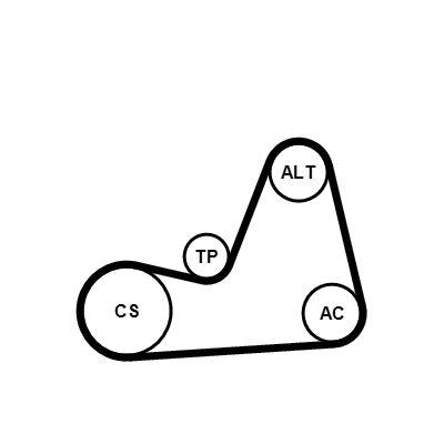 Poly v-remsats - Flerspårsremssats CONTINENTAL CTAM 6PK1100K1