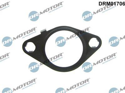 Packning, EGR-ventil - Packning EGR-ventil DR.MOTOR AUTOMOTIVE DRM01706