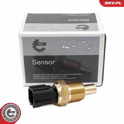 Sensor, kylvätskenivå - Sensor, kylmedelsnivå ESEN SKV 17SKV843