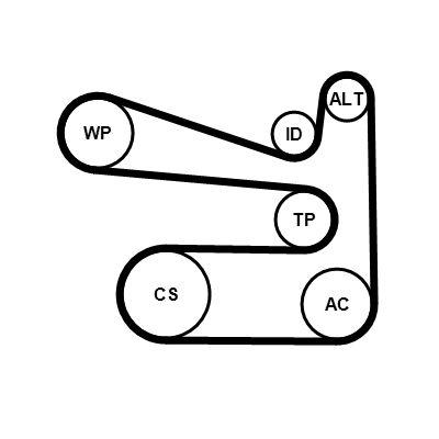 Vattenpump + serpentinremsats - Vattenpump + spårremssats CONTINENTAL CTAM 6PK1693WP1