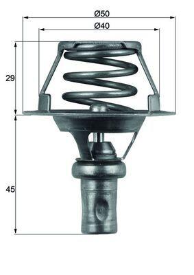 Termostat - Termostat, kylmedel MAHLE TX 66 91D