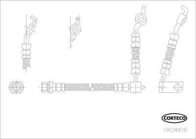 Bromsslangar - Bromsslang CORTECO 19036616