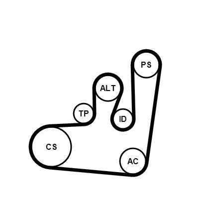 Vattenpump + serpentinremsats - Vattenpump + spårremssats CONTINENTAL CTAM 6PK1145WP1