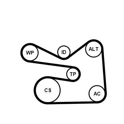 Vattenpump + serpentinremsats - Vattenpump + spårremssats CONTINENTAL CTAM 6PK1733WP2