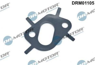 Packning, turboladdare - Packning, oljeplugg (överladdare) DR.MOTOR AUTOMOTIVE DRM01105