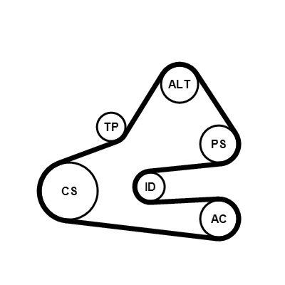 Poly v-remsats - Flerspårsremssats CONTINENTAL CTAM 6PK1613K1