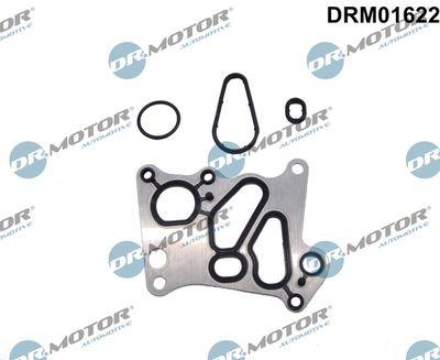 Packning, oljekylare - Packningssats, oljekylare DR.MOTOR AUTOMOTIVE DRM01622