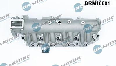 Insugningsgrenrör - Sugrörmodul DR.MOTOR AUTOMOTIVE DRM18801