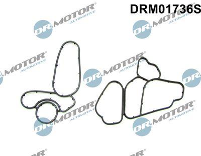 Packning, oljekylare - Packningssats, oljekylare DR.MOTOR AUTOMOTIVE DRM01736S