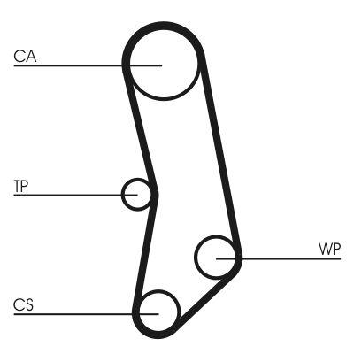 Vattenpump + kamremssats - Vattenpump + kuggremssats CONTINENTAL CTAM CT503WP1