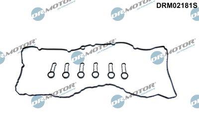 Ventilkåpspackningssats - Packningssats, ventilkåpa DR.MOTOR AUTOMOTIVE DRM02181S