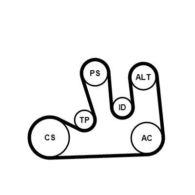 Vattenpump + serpentinremsats - Vattenpump + spårremssats CONTINENTAL CTAM 5PK1750WP1