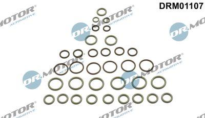 A/C-kompressor - Rep.sats, AC DR.MOTOR AUTOMOTIVE DRM01107