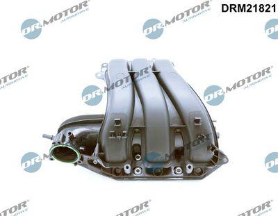 Insugningsgrenrör - Sugrörmodul DR.MOTOR AUTOMOTIVE DRM21821