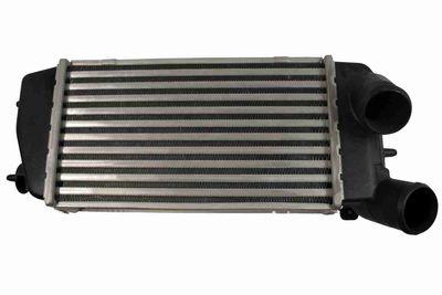 Intercooler - Laddluftkylare VEMO V22-60-0008