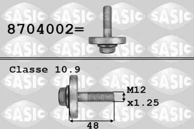 Remhjulsskruv - Remskiveskruv SASIC 8704002