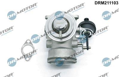 EGR-ventil - Agr-Ventil DR.MOTOR AUTOMOTIVE DRM211103