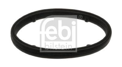 Packning, oljekylare - Packning, oljekylare FEBI BILSTEIN 101399