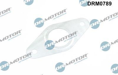 Packning, EGR-ventil - Packning, EGR-ventilledning DR.MOTOR AUTOMOTIVE DRM0789