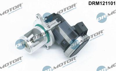 EGR-ventil - Agr-Ventil DR.MOTOR AUTOMOTIVE DRM121101