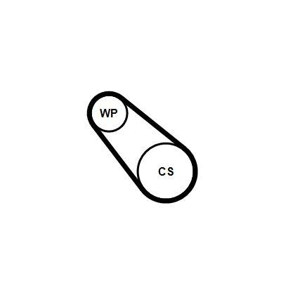 Vattenpump + serpentinremsats - Vattenpump + spårremssats CONTINENTAL CTAM 3PK576 ELAST WP2