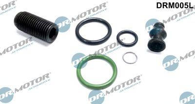 Repsats, insprutningsmunstycke - Reparationssats, pump-/ munstycksenhet DR.MOTOR AUTOMOTIVE DRM005L