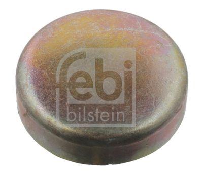 Frostplugg - Frostplugg FEBI BILSTEIN 07295