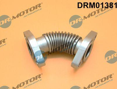 EGR-ventil - Rörledning, EGR-ventil DR.MOTOR AUTOMOTIVE DRM01381