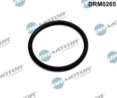 Packning, EGR-ventil - Packning, EGR-ventilledning DR.MOTOR AUTOMOTIVE DRM0265