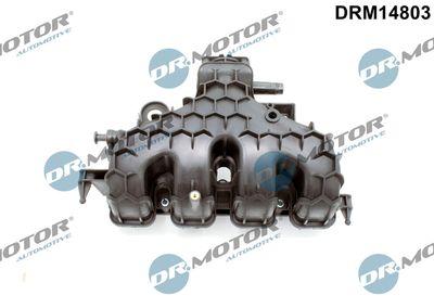 Insugningsgrenrör - Sugrörmodul DR.MOTOR AUTOMOTIVE DRM14803