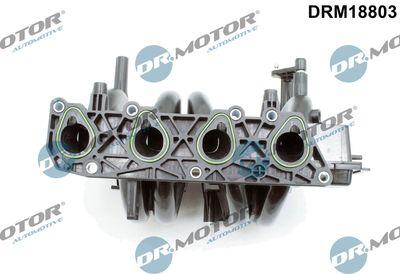 Insugningsgrenrör - Sugrörmodul DR.MOTOR AUTOMOTIVE DRM18803