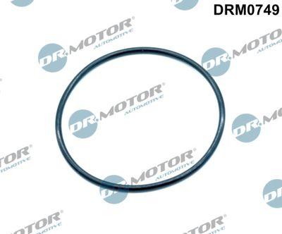 Packning, EGR-ventil - Packning EGR-ventil DR.MOTOR AUTOMOTIVE DRM0749