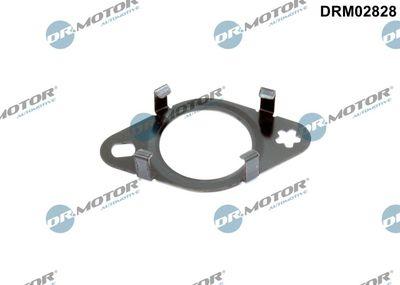 Packning, EGR-ventil - Packning, EGR-ventilledning DR.MOTOR AUTOMOTIVE DRM02828