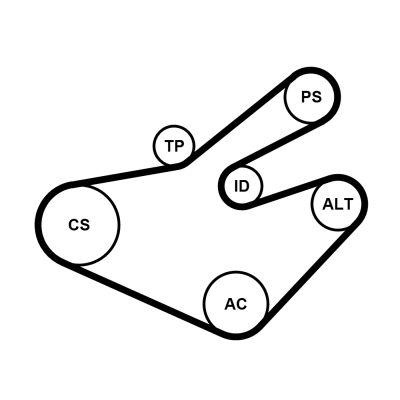 Vattenpump + serpentinremsats - Vattenpump + spårremssats CONTINENTAL CTAM 7PK1795WP1