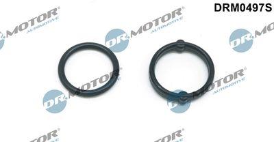 Packning, oljekylare - Packningssats, oljekylare DR.MOTOR AUTOMOTIVE DRM0497S