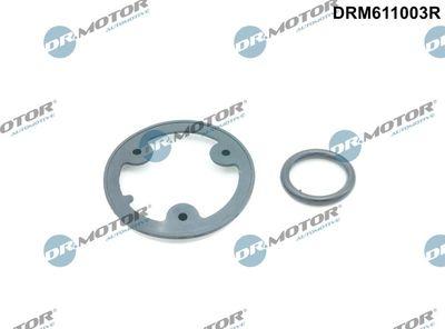 Packning, oljekylare - Packningssats, oljekylare DR.MOTOR AUTOMOTIVE DRM611003R