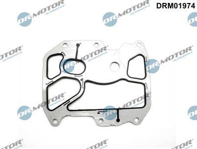 Packning, oljekylare - Packning, oljekylare DR.MOTOR AUTOMOTIVE DRM01974