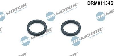 Packning, oljekylare - Packningssats, oljekylare DR.MOTOR AUTOMOTIVE DRM01134S