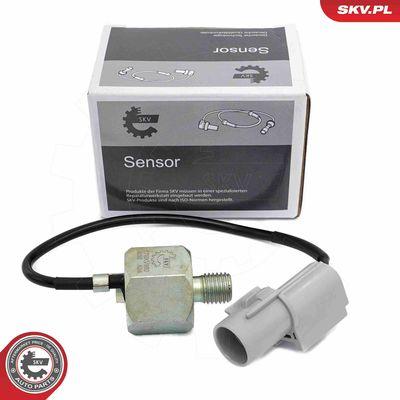 Knacksensor - Knackningssensor ESEN SKV 17SKV850