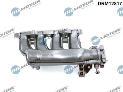 Insugningsgrenrör - Sugrörmodul DR.MOTOR AUTOMOTIVE DRM12817