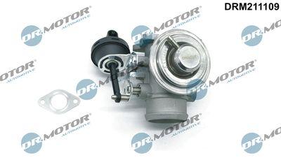 EGR-ventil - Agr-Ventil DR.MOTOR AUTOMOTIVE DRM211109