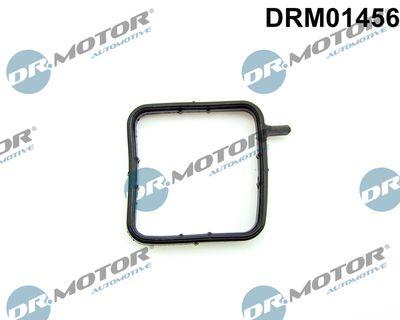 Packning, kylare - Tätning, kylmedelsrör DR.MOTOR AUTOMOTIVE DRM01456